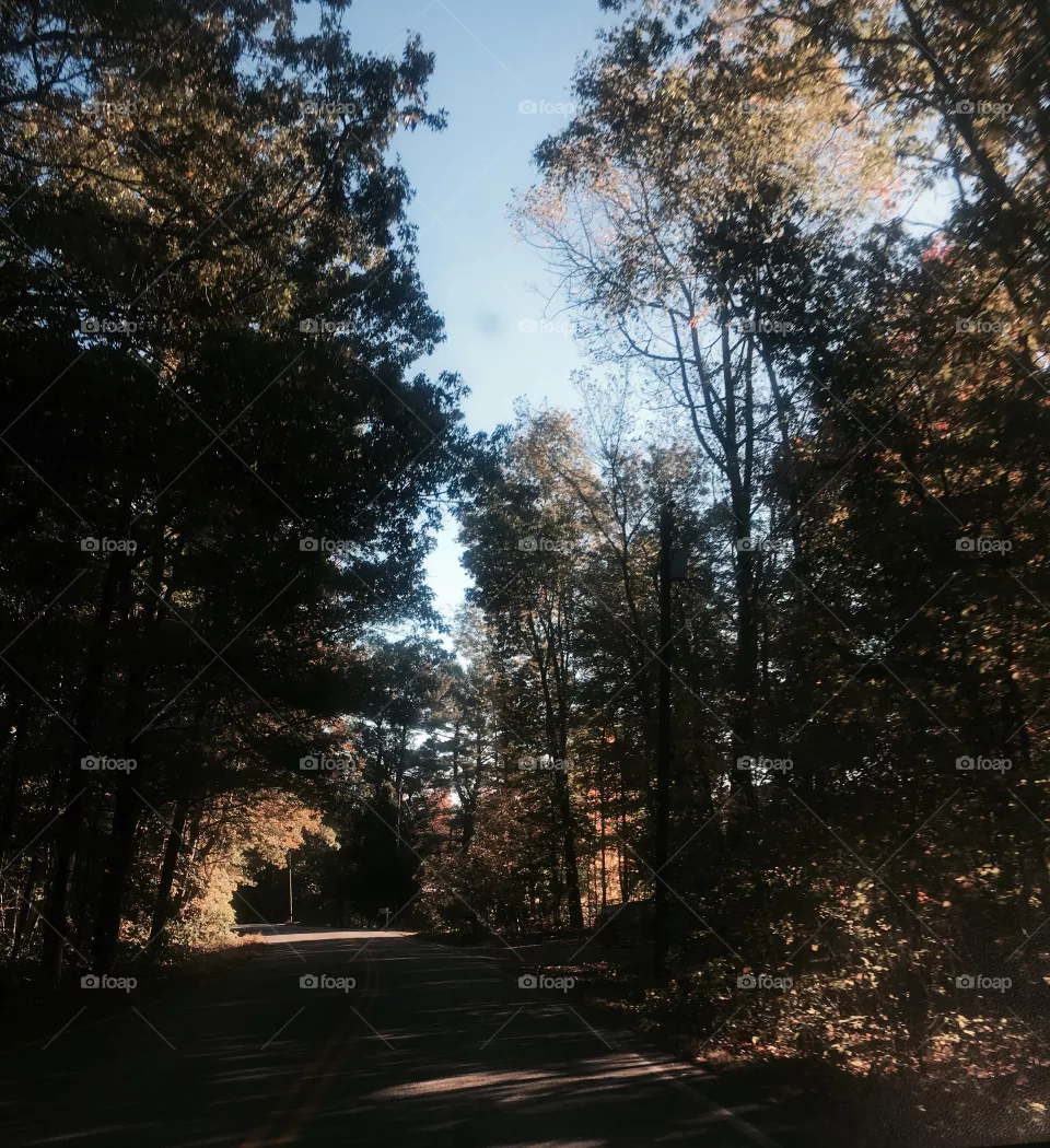 Fall 