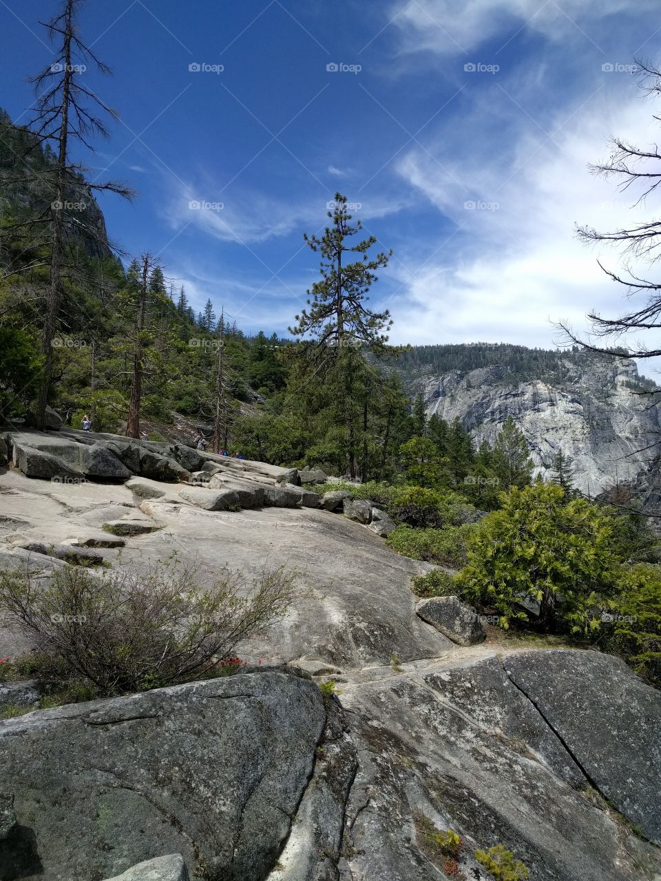 Yosemite national Park, California