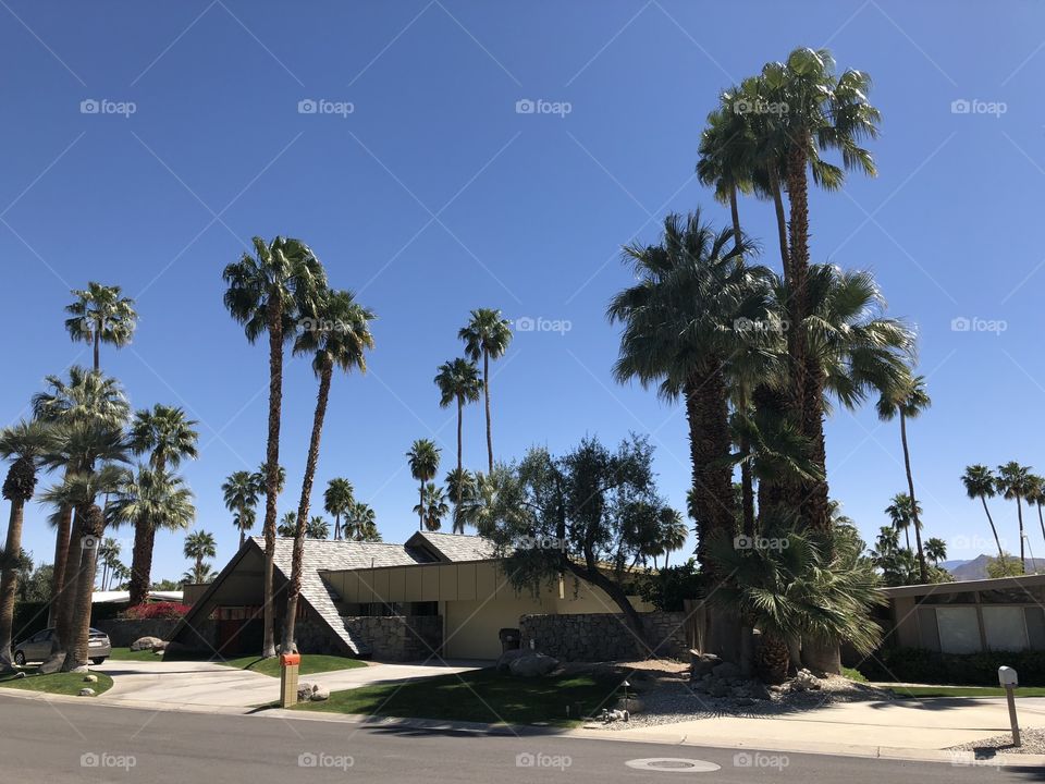 a swiss miss house in palms springs