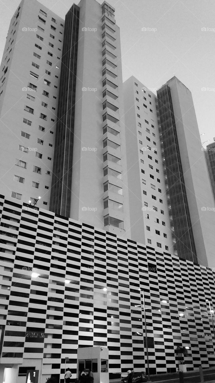 arquitectura en blanco y negro