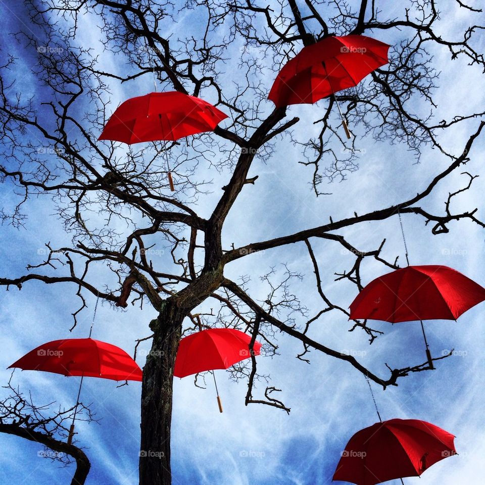 Red umbrella