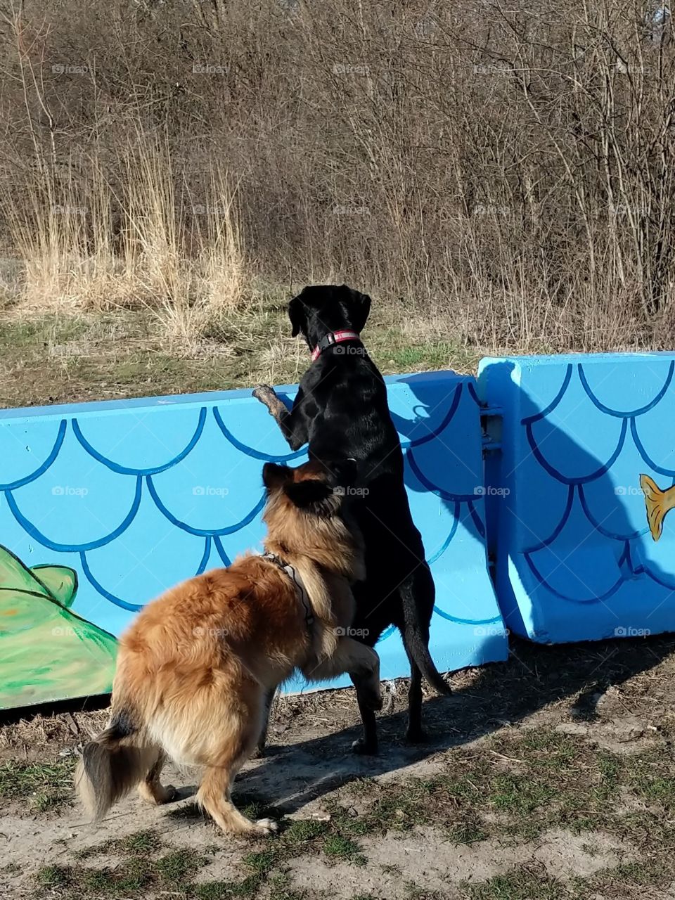 What can you see there?!