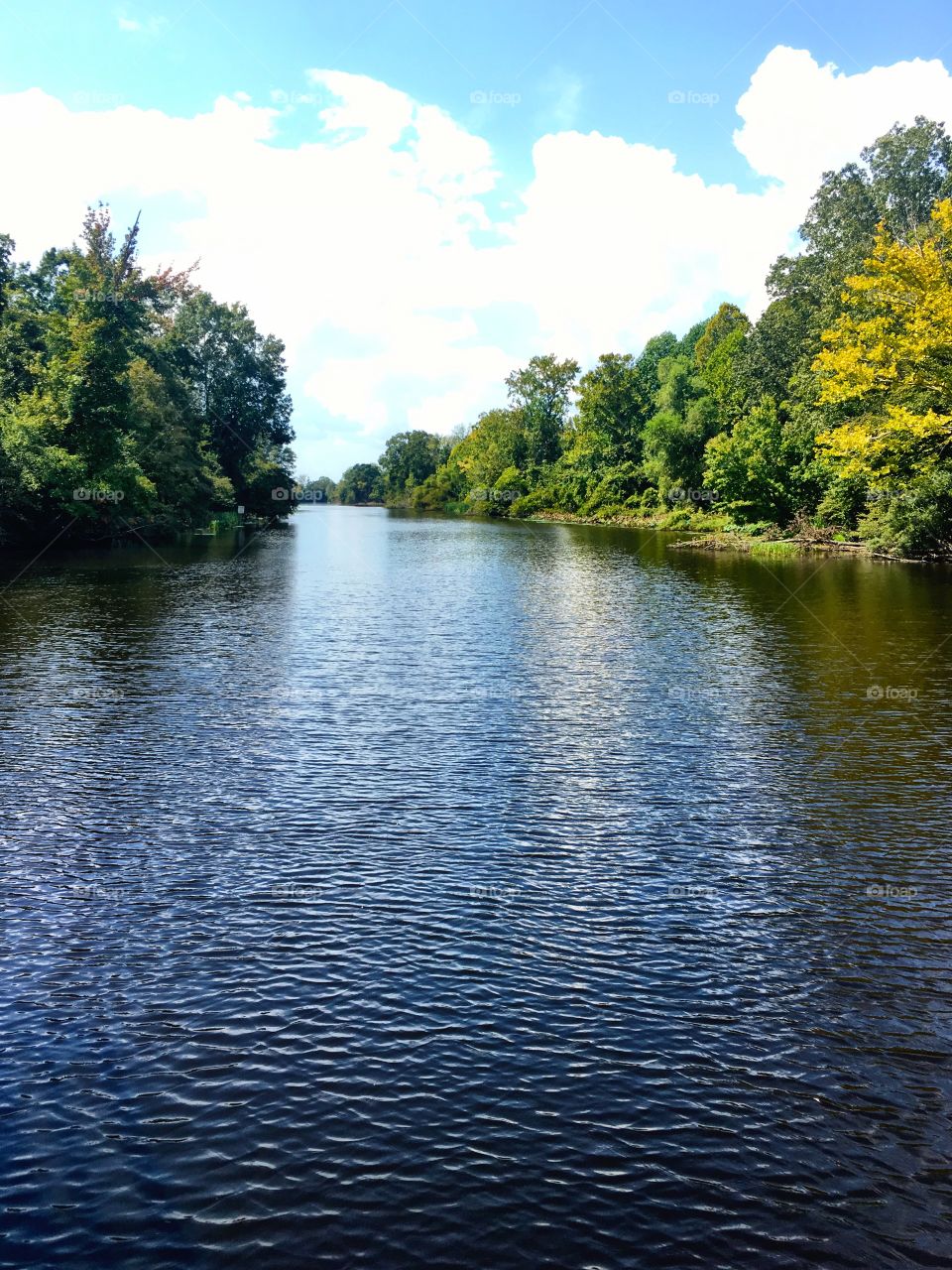 floating down a river