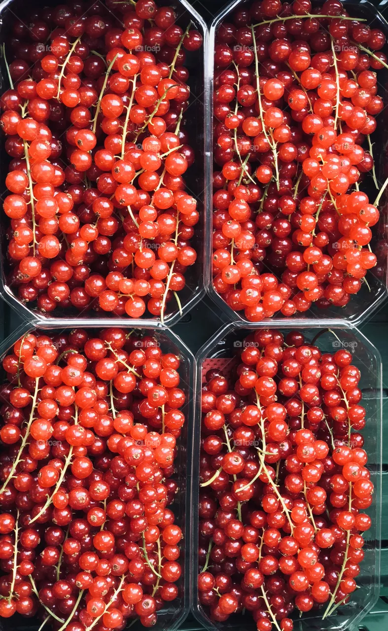 raspberry