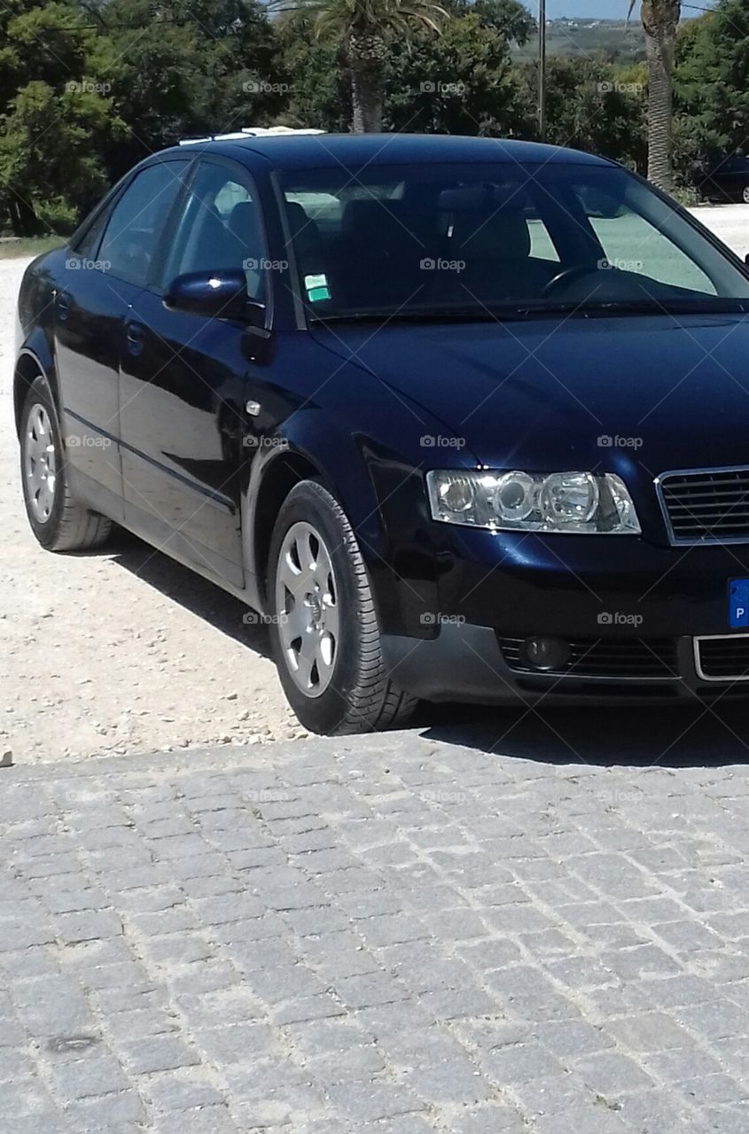 Audi 1.9 Tdi 130cv