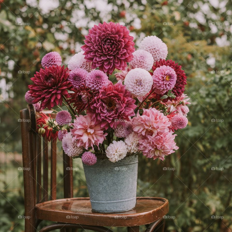 flowers set