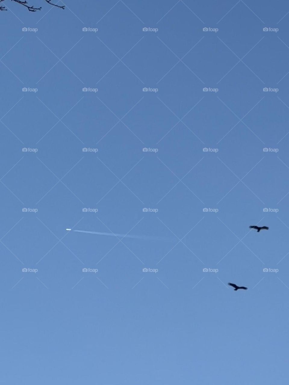 It’s a bird, it’s a plane.