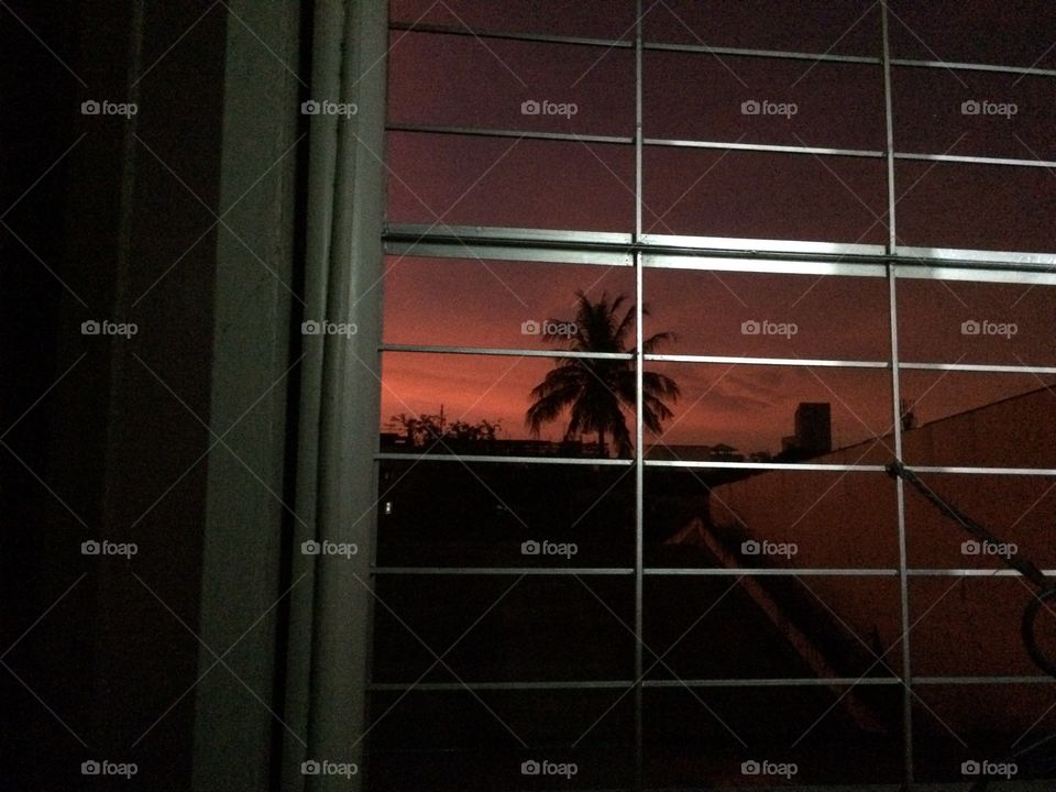 Sunrise on the city. Captured through the window. Orange sky and shadowed trees