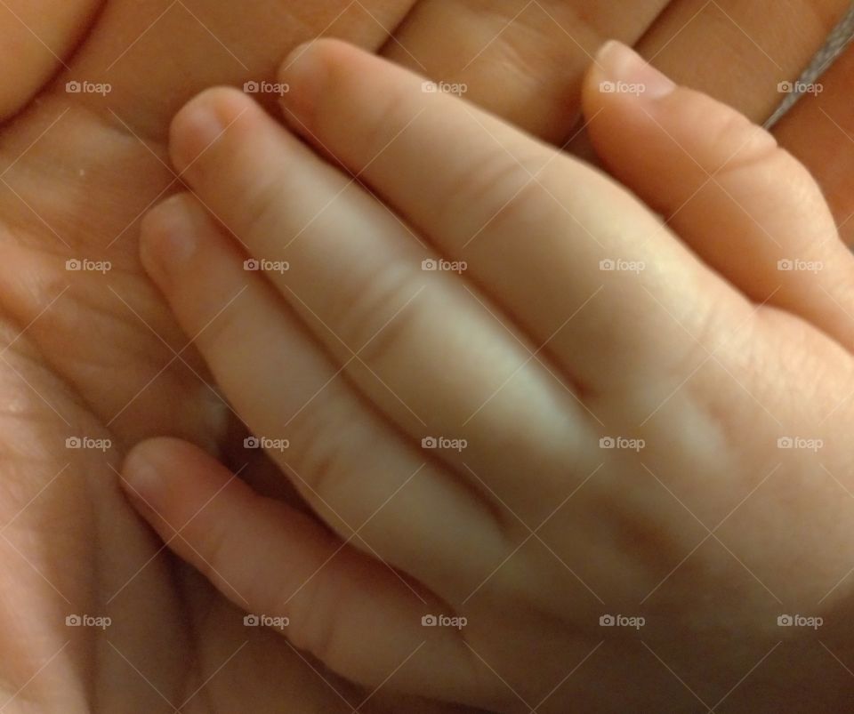 Baby's little hand in parents' hand