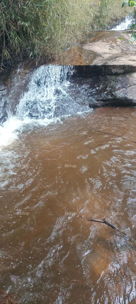 natureza milagre da vida