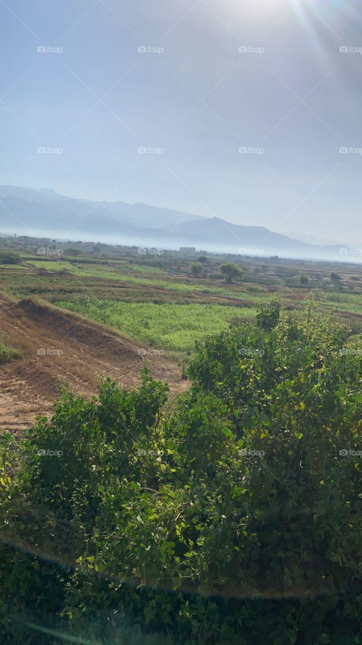 I need money for my personal and family circumstances, and I want dollars