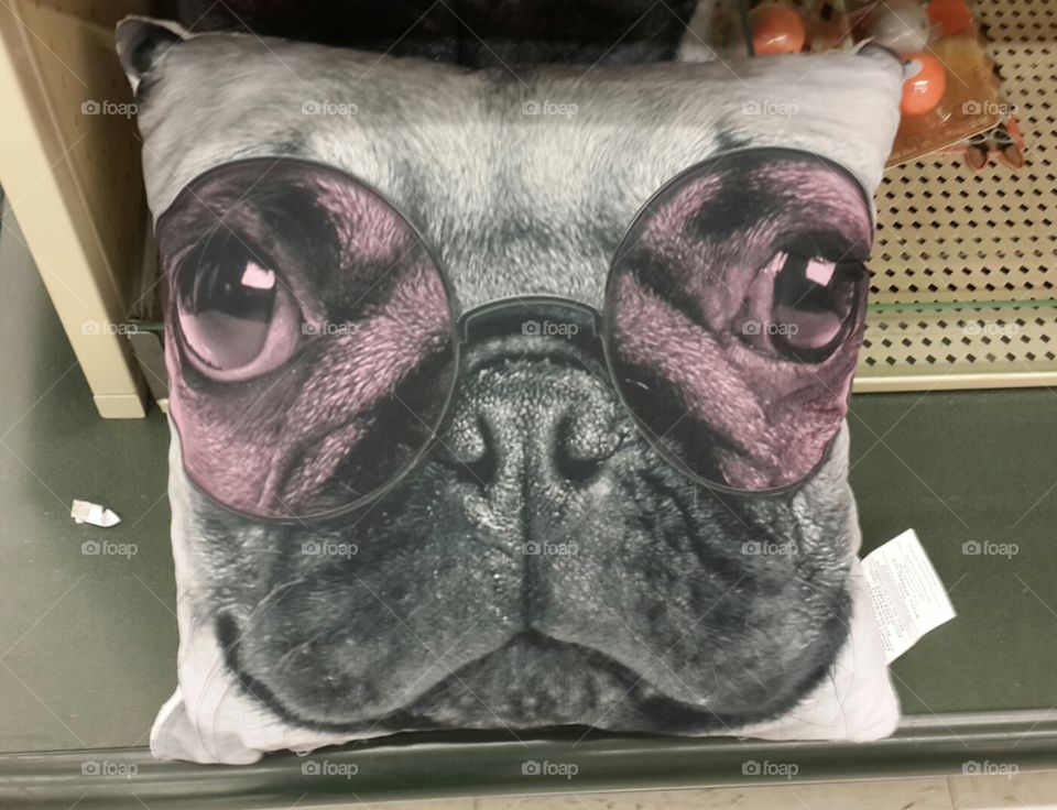 Dog pillow glasses