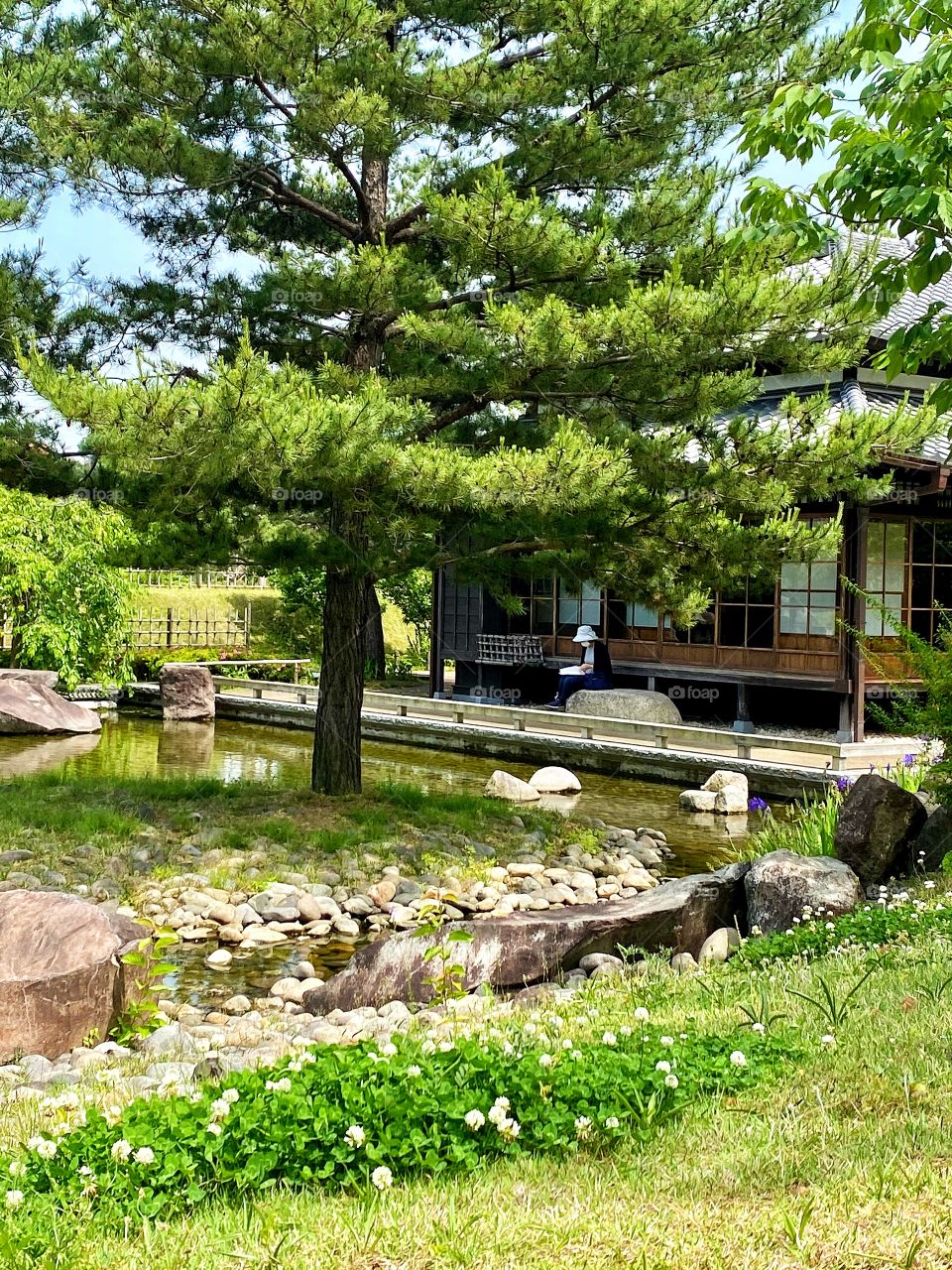 Simple landscaped Japanese garden with trees, rocks, green grass, pond and traditional home in the background, woman sitting on a rock reading.