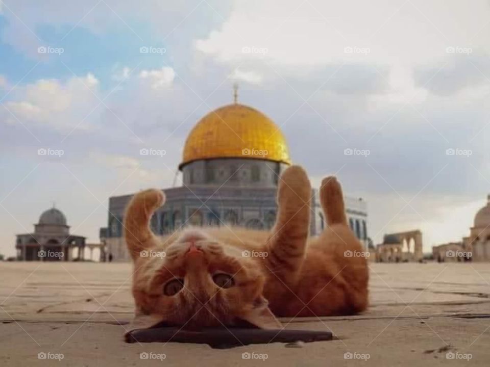 Jerusalem, Palestine