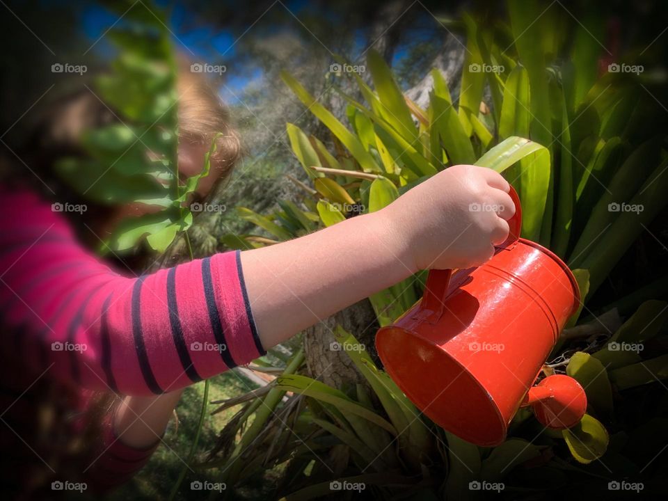 Child Watering Tropical Trees 