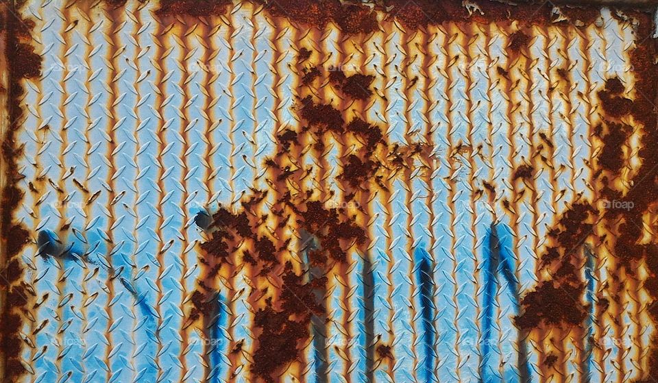 The  rusty metallic gate