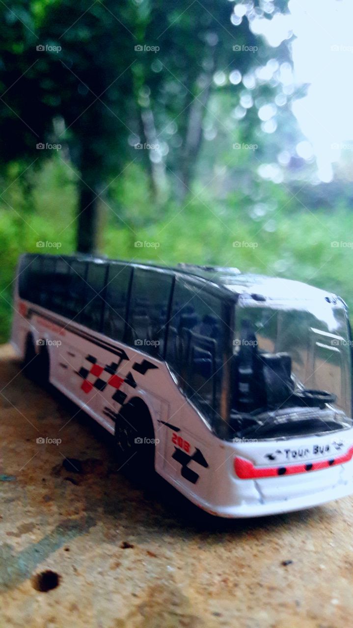 Bus