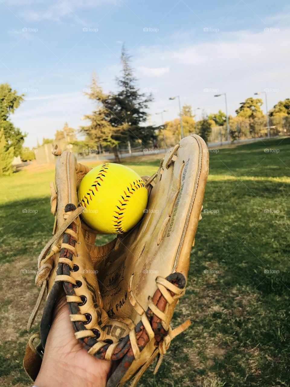 Softball and field 