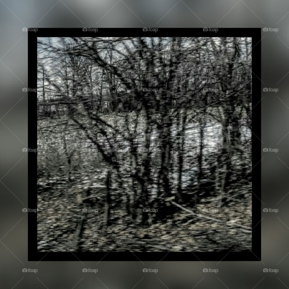 Picture Frame, Blank, Desktop, Television, Design