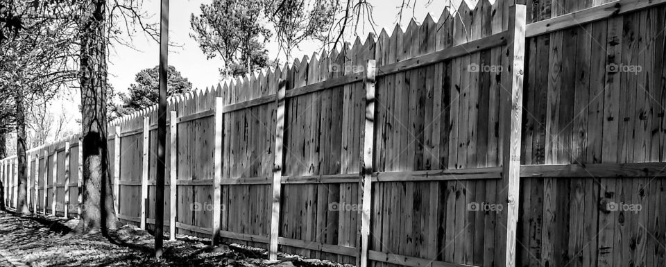 Fence B & W