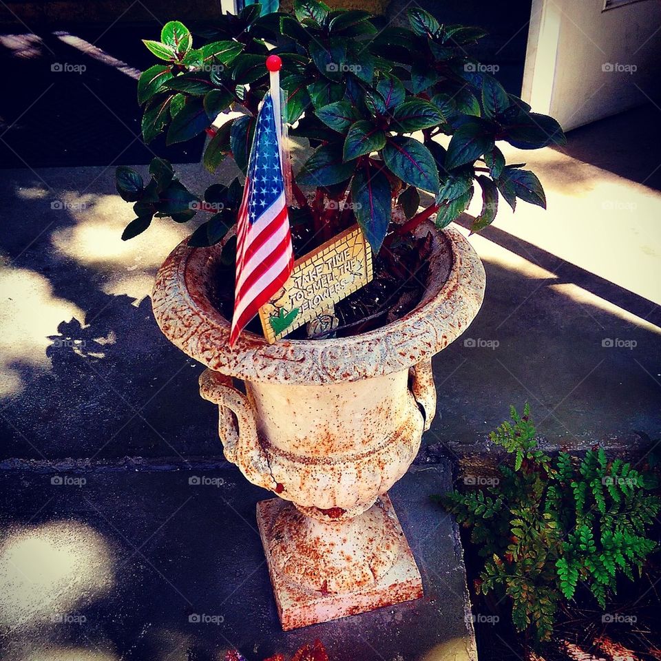 American Planter 