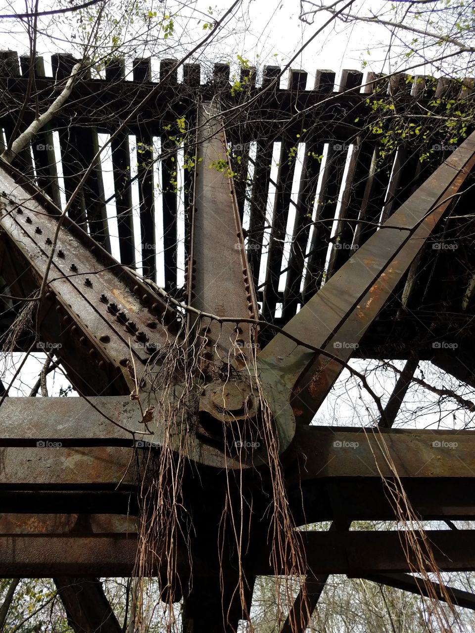 Old wooden railroad bridge used by President. Roosevelt