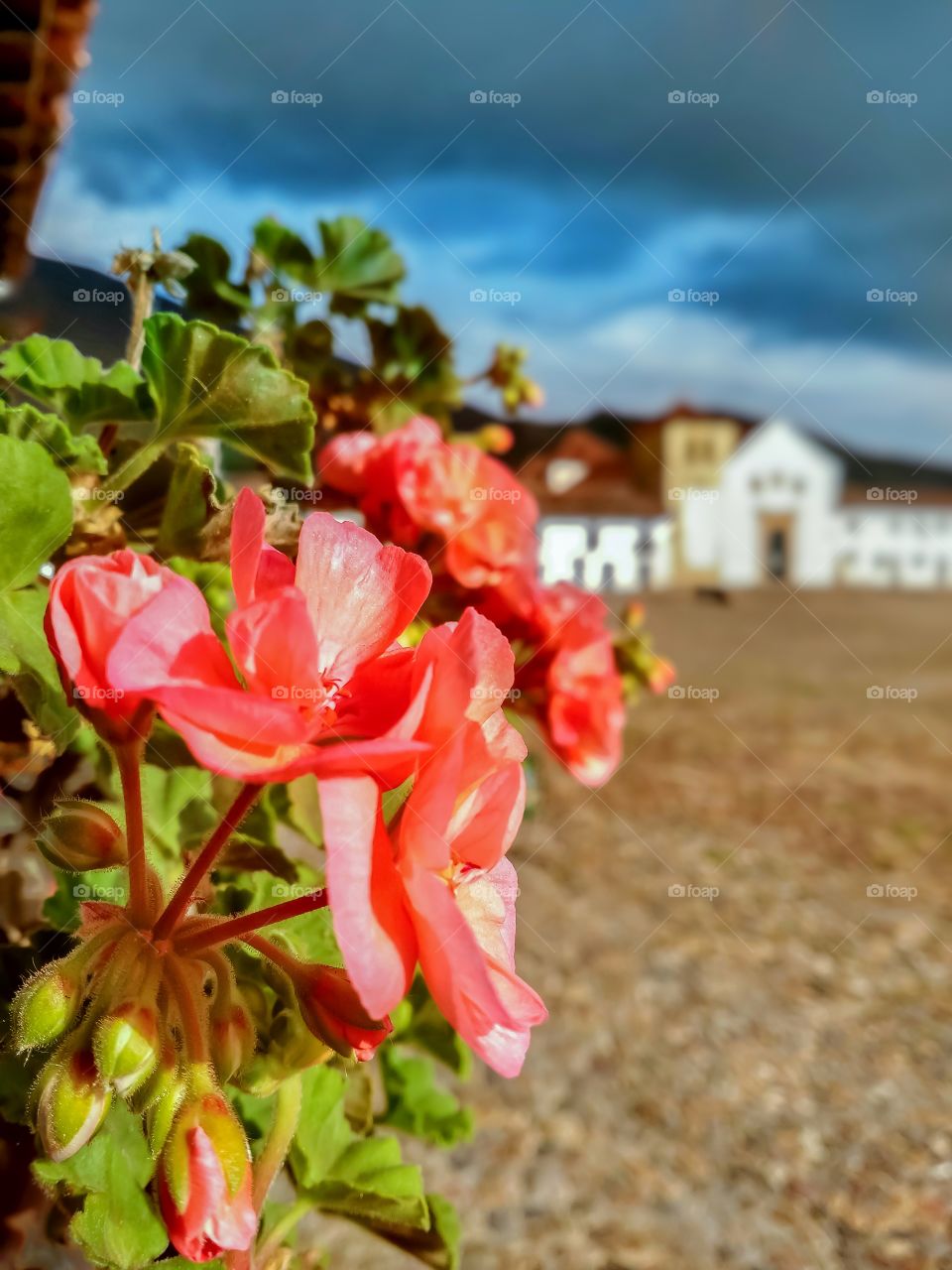 Sunny afternoon in Villa de Leyva Colombia