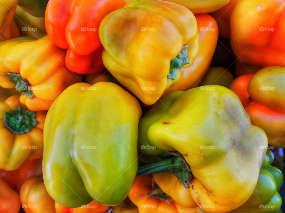 Colorful Bell Peppers