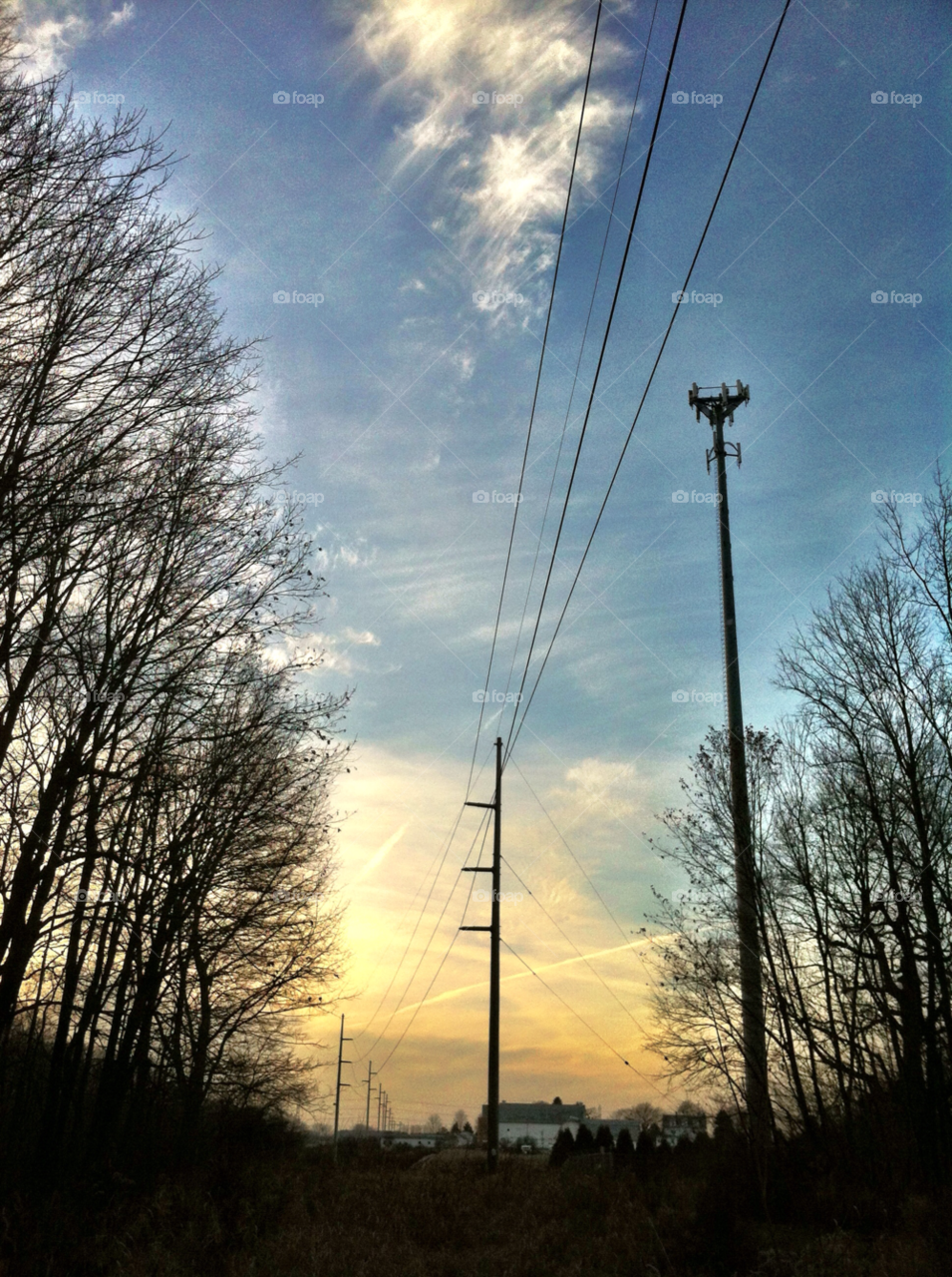 sunset trees lines racine wi by doug414