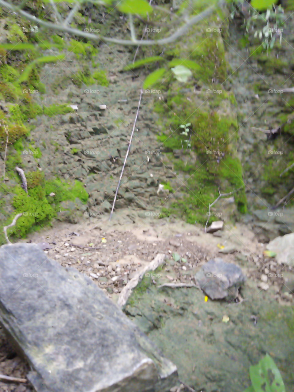 the nature of the field