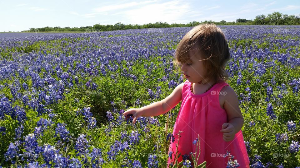 Discovering BlueBonnets. Her first time seeing blue bonnets