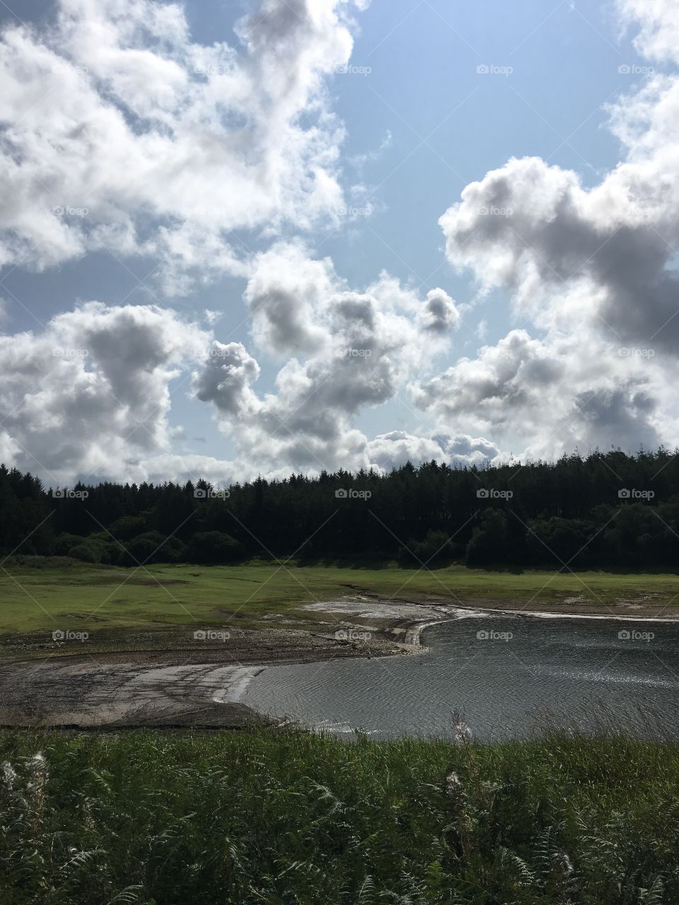 Whistland pound reservoir, Exmoor, North Devon. England. Low perspective on a summer day.