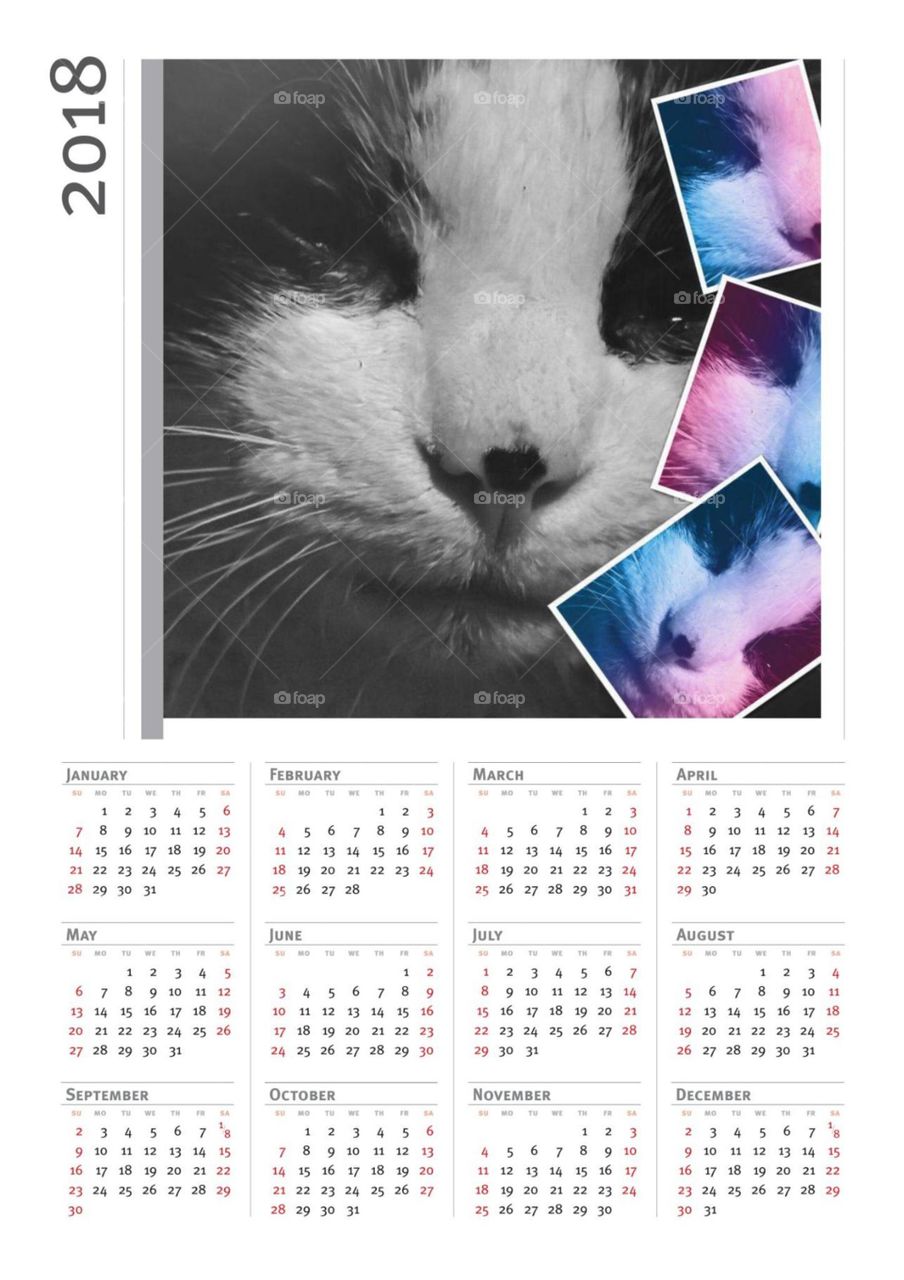 Calendar, Date, Planner, Agenda, Daily Occurence