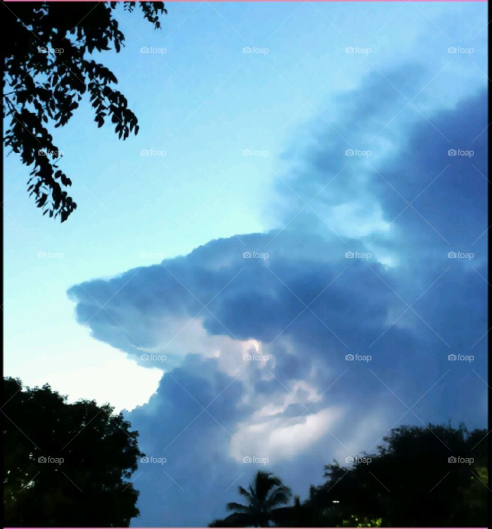 Tropic Thunder. Florida thunderstorm at sunset
