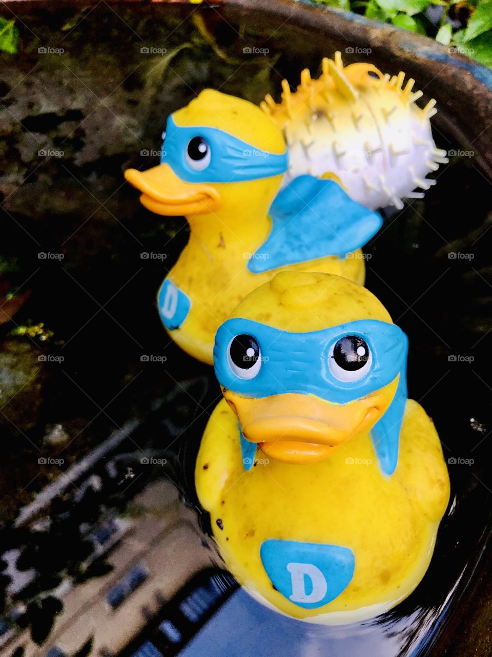Colorful rubber ducks in garden water feature 