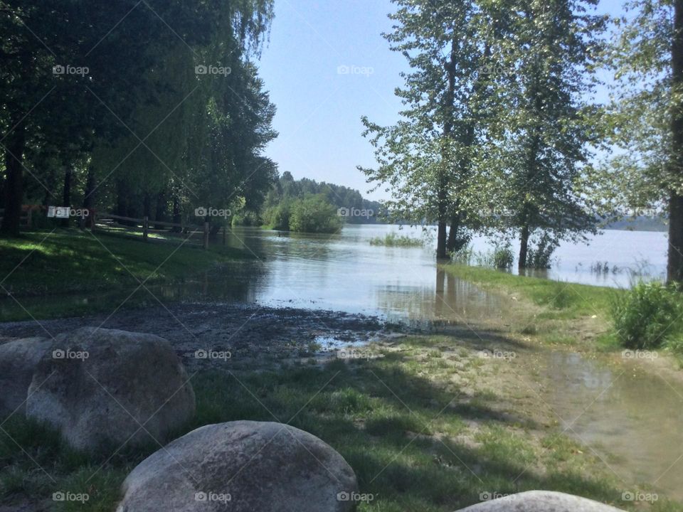The Flooded Fraser River in the Matsqui Park 