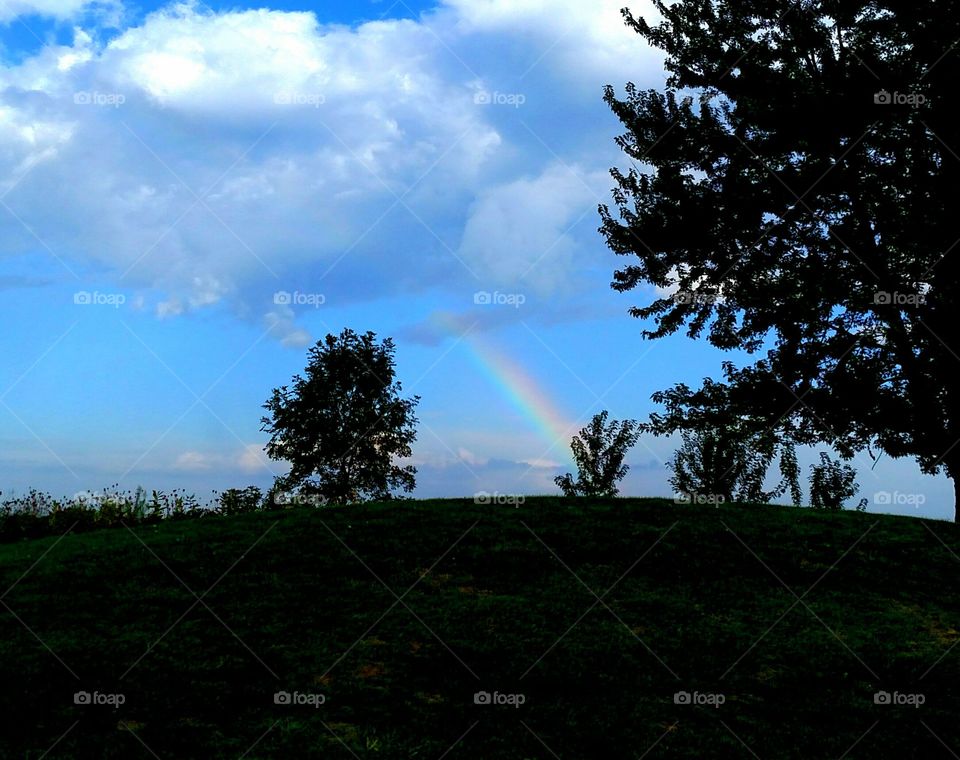 rainbow nature trees sky clouds