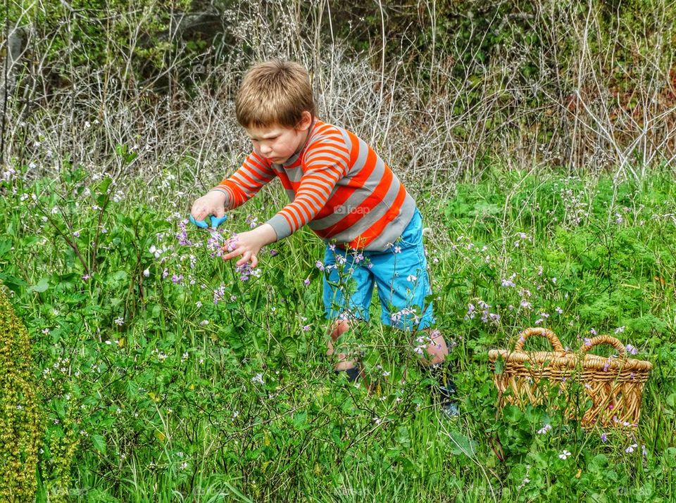 Boy Gathering Wildflowers