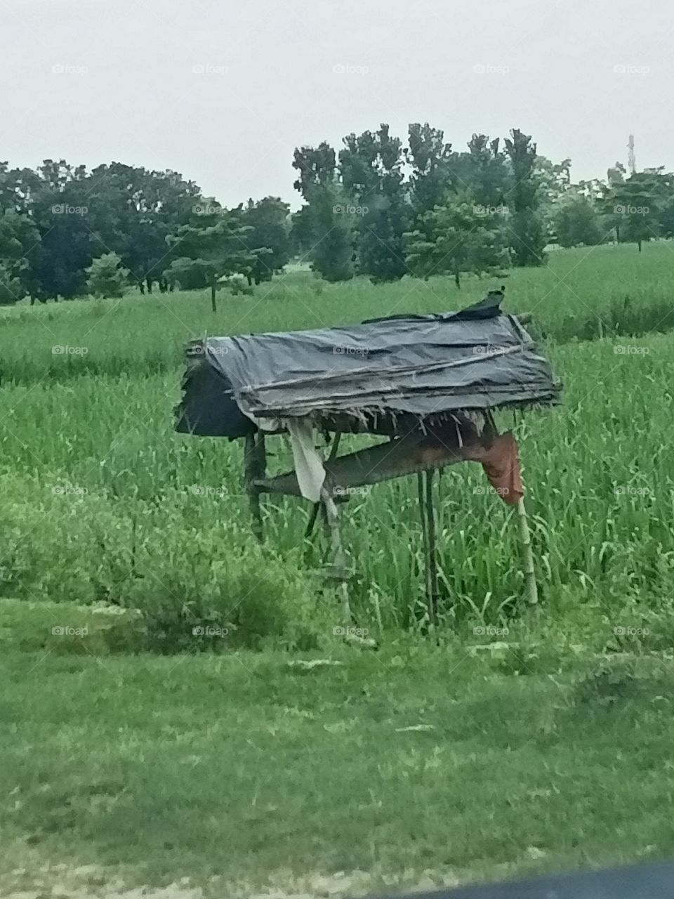 shelter in the field