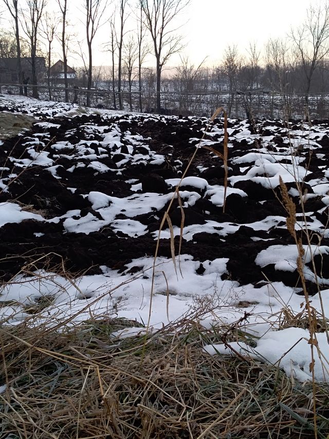 winter outside