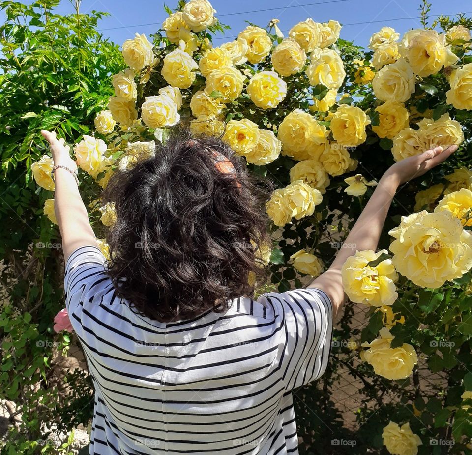 cabello de mujer entre las rosas