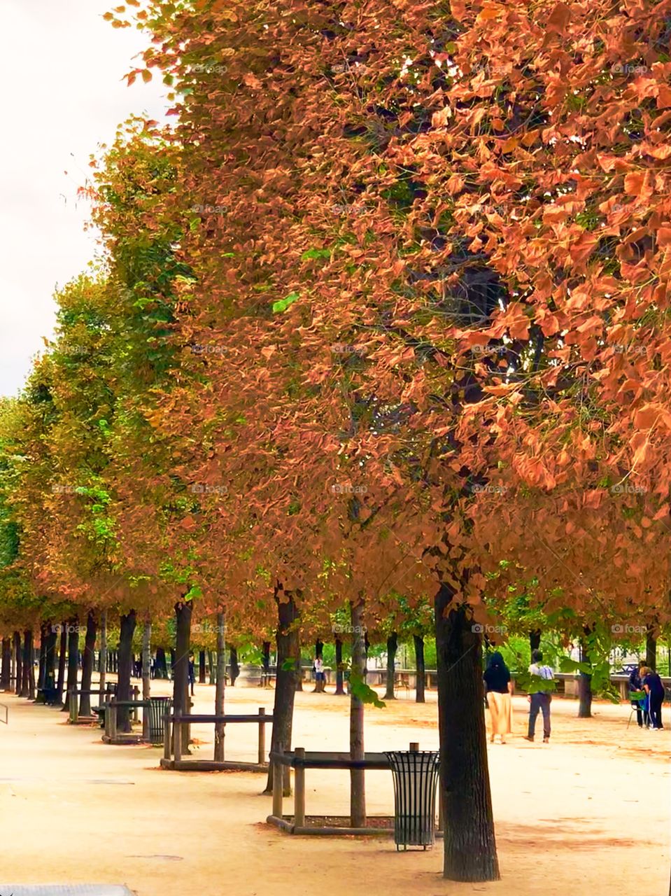 Tuileries Gardens; Paris, France