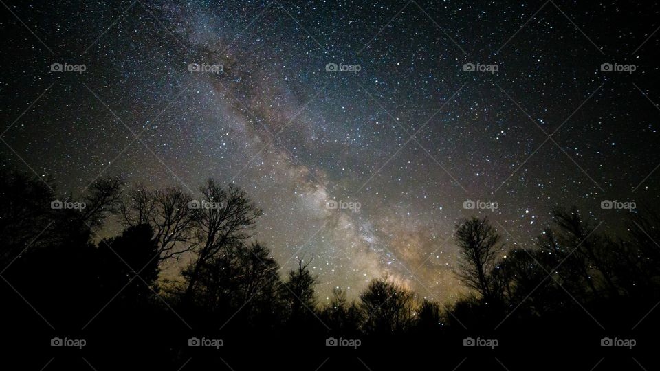 Milky Way in the Forrest. Cherry Spring, PA