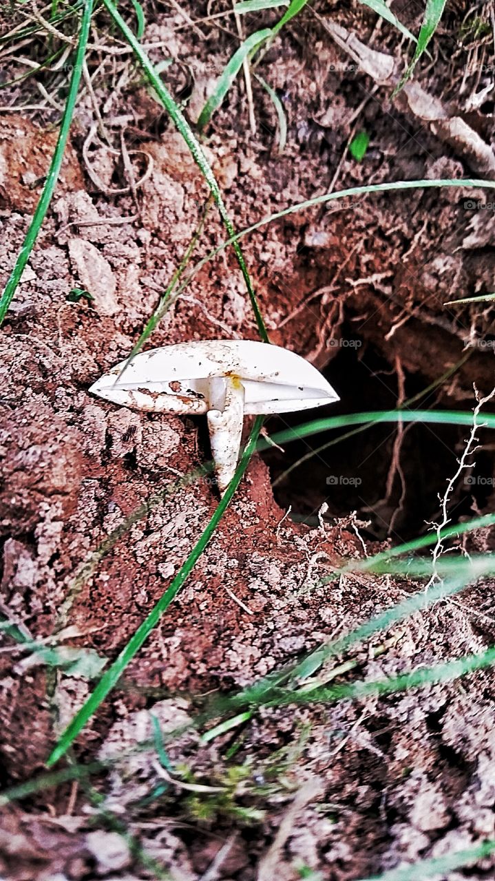 Morning discovery. missed the hatching of the turtles but found fresh evidence 