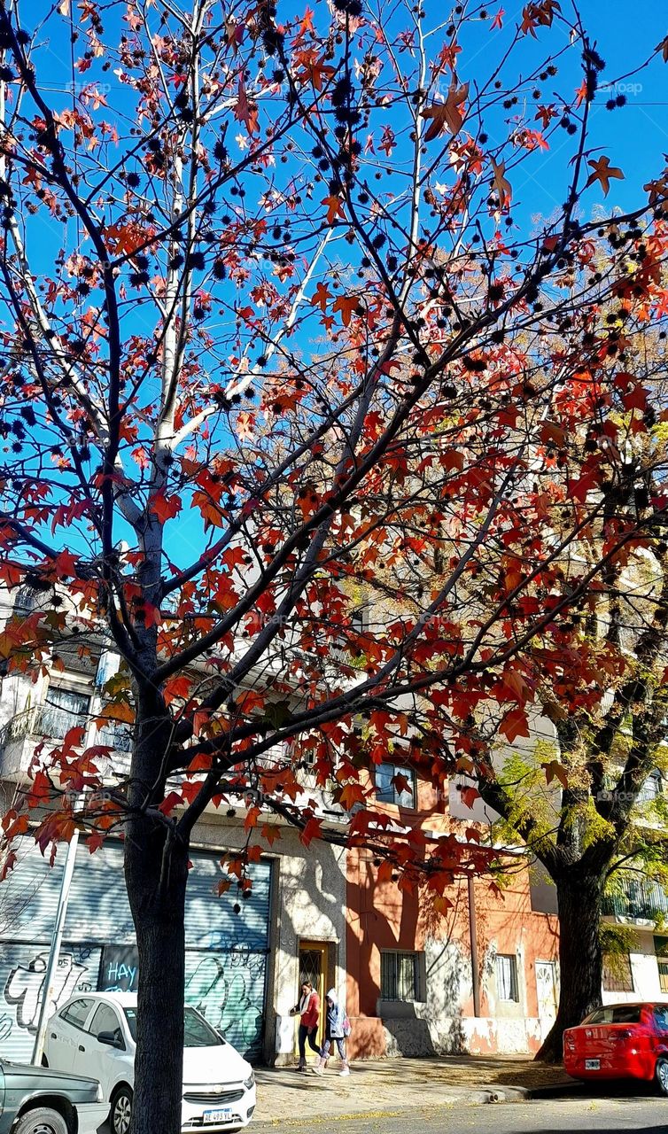 Otoño