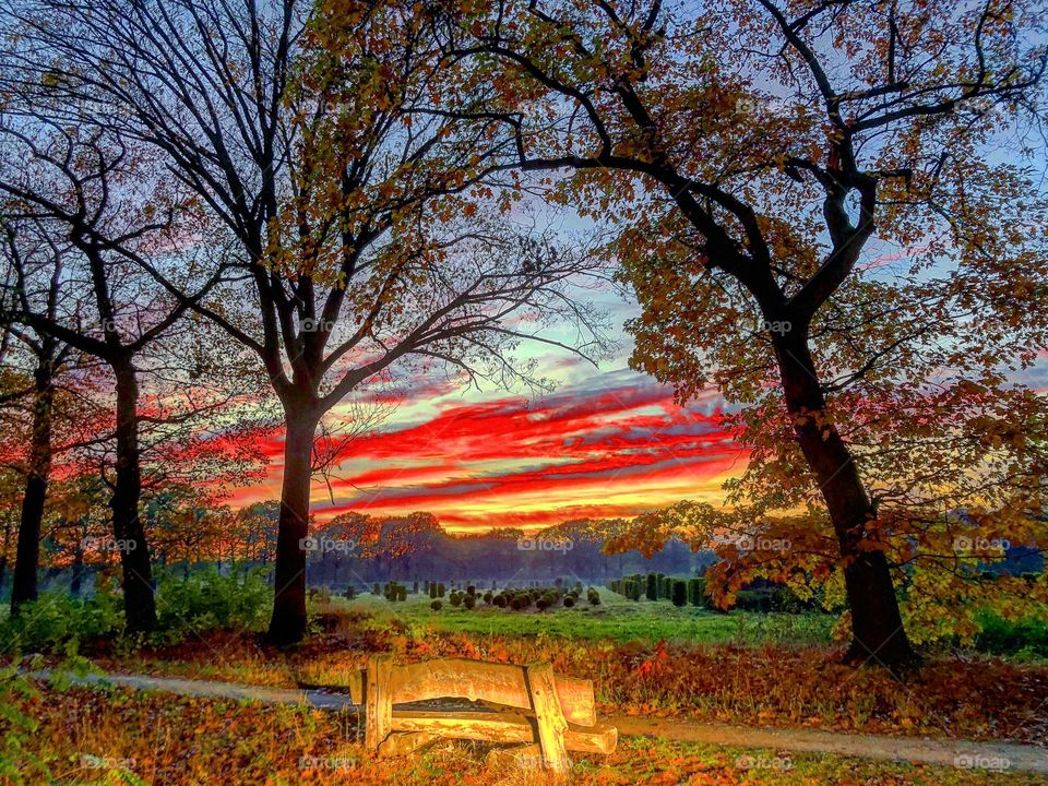 A wooden bench on the side of the woods to view the setting sun