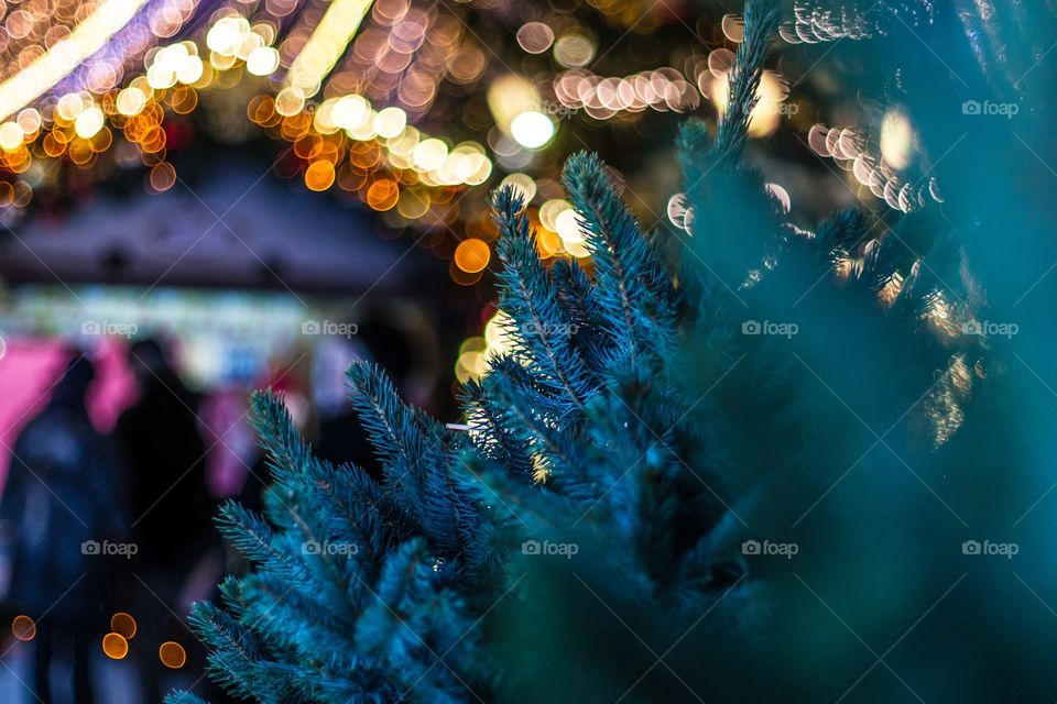 Christmas, Blur, Winter, Celebration, Light