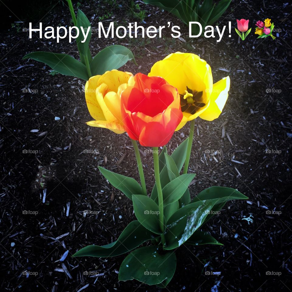 Happy Mother’s Day!