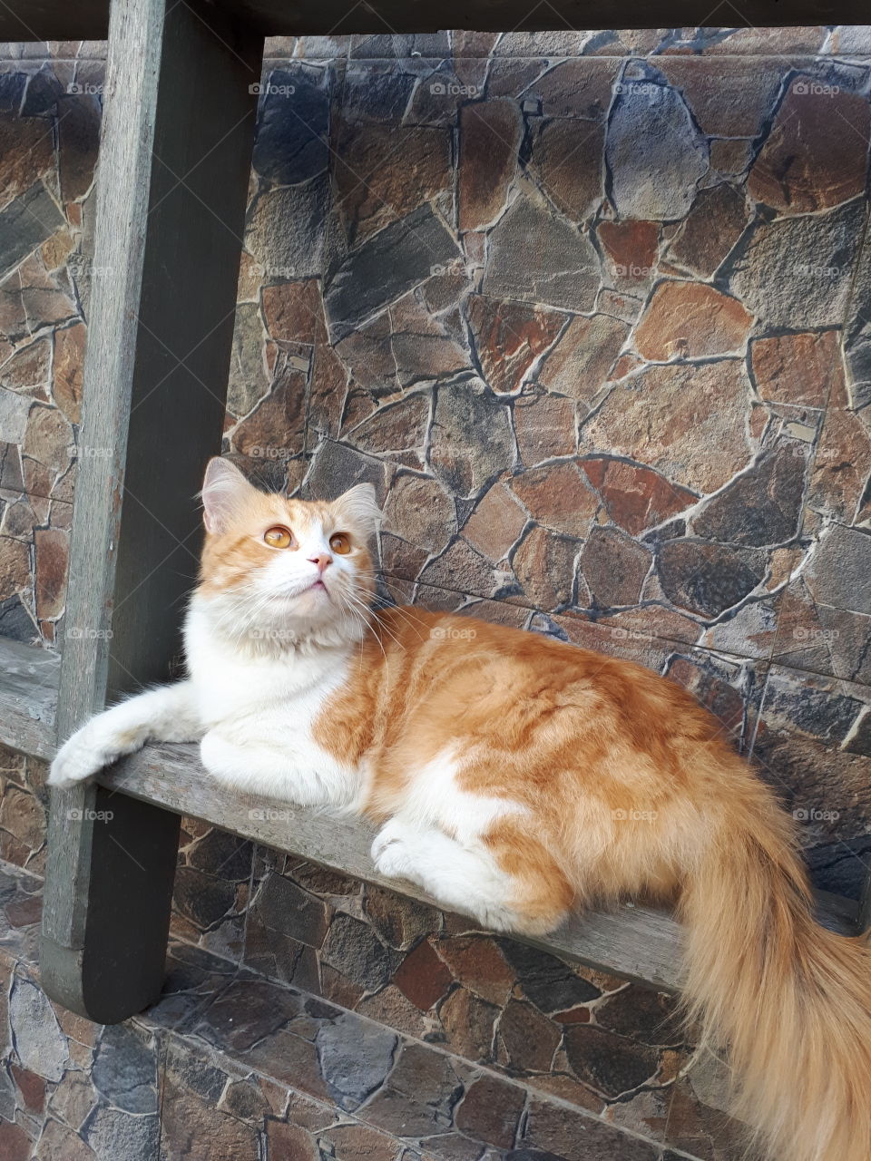 time for hunting food