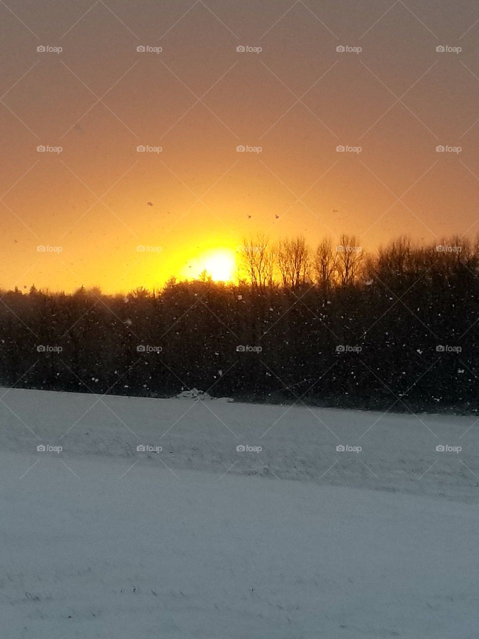 Snow, Winter, Landscape, Weather, Fog